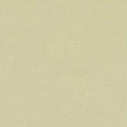 ECO COATED NYLON WEAVE