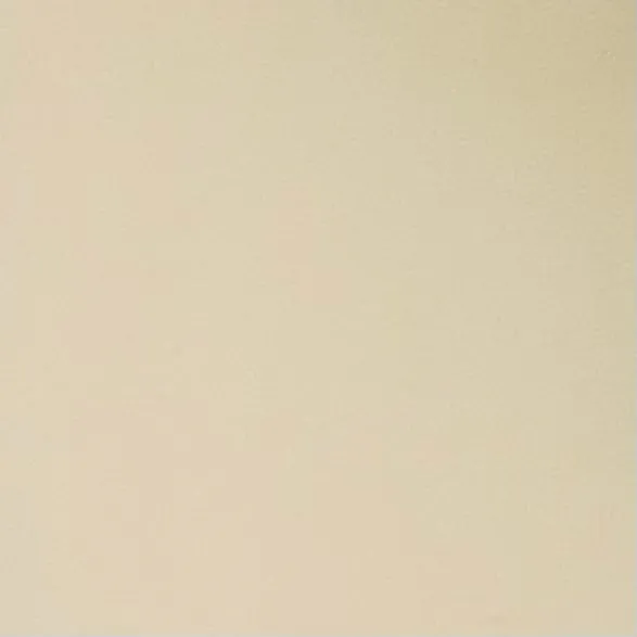 ECO COATED NYLON WEAVE