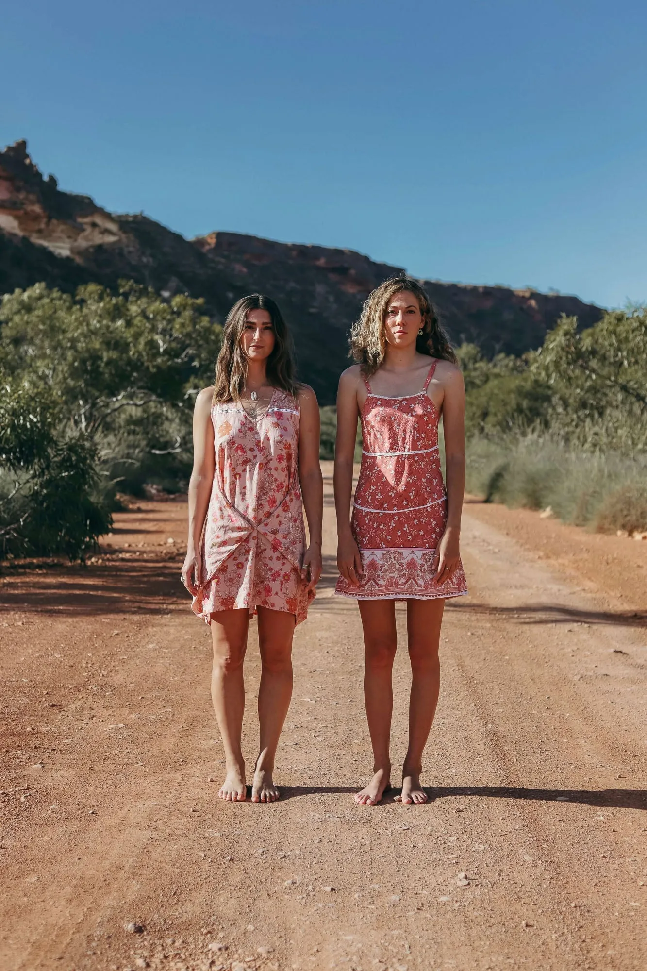 Maxi Wingdress - tea rose