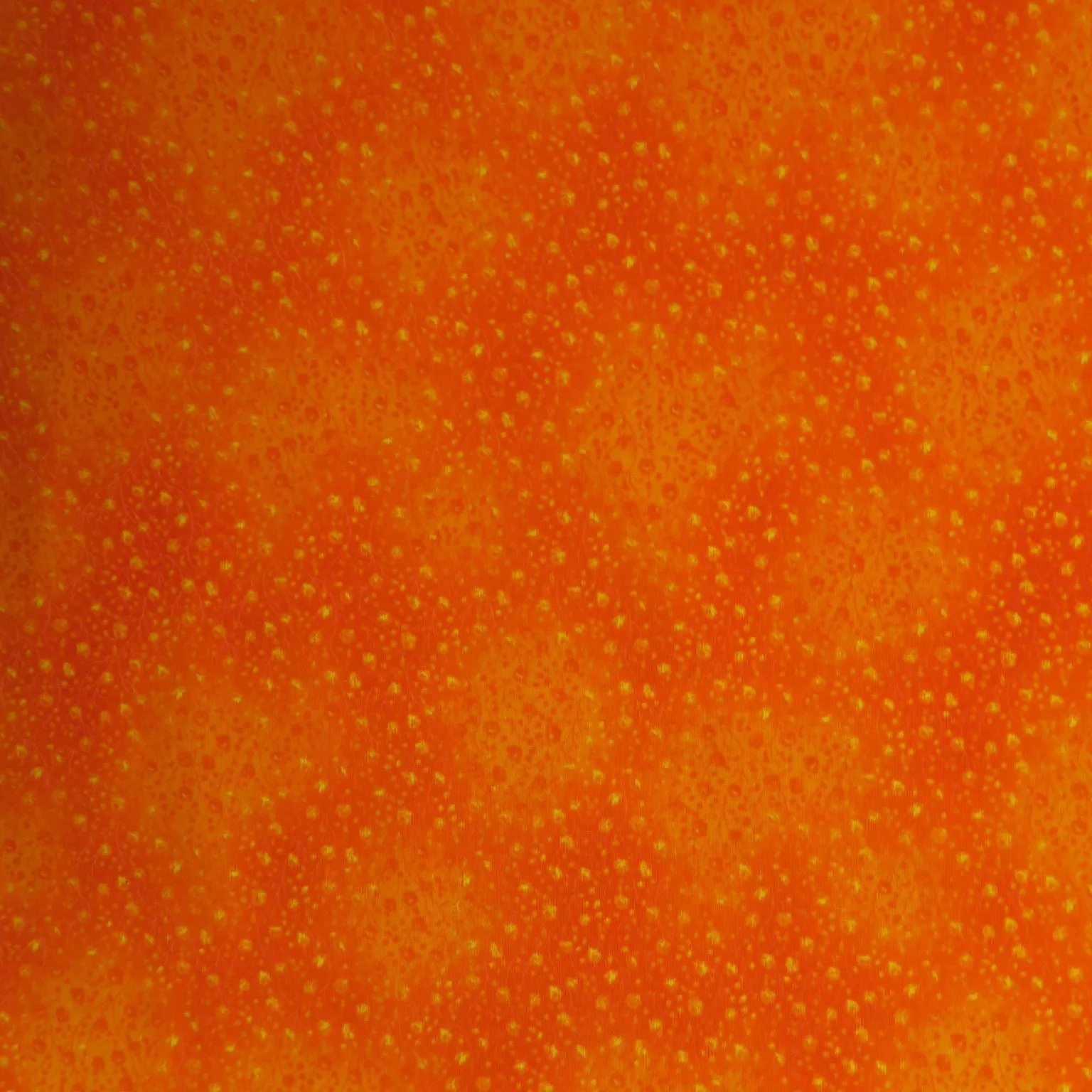 Orange and Yellow Cotton Blended Broadcloth