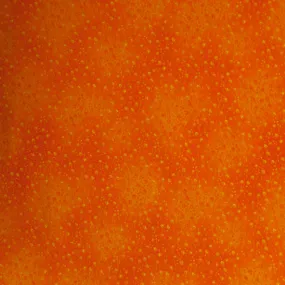 Orange and Yellow Cotton Blended Broadcloth
